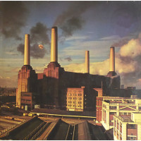 Animals