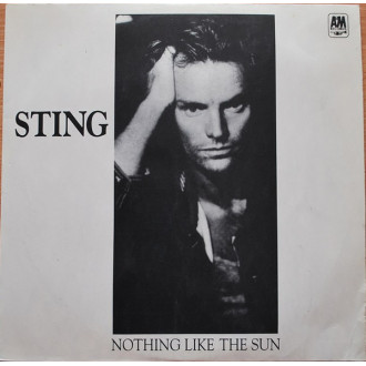 ...Nothing Like The Sun