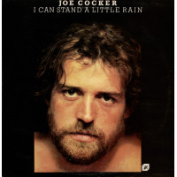 I Can Stand A Little Rain