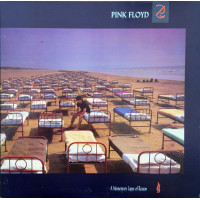 A Momentary Lapse Of Reason