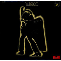 Electric Warrior
