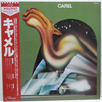 Camel