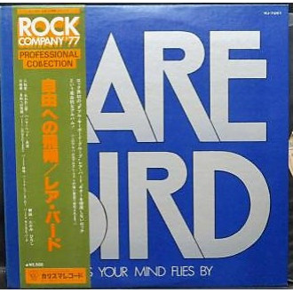 As Your Mind Flies By