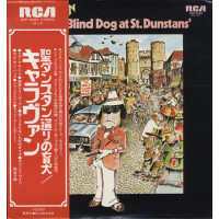 Blind Dog At St. Dunstans
